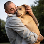 Stray Animals Support