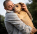 Stray Animals Support